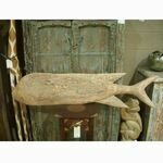 poisson-140cm-teck