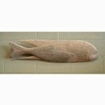 poisson-105cm-teck